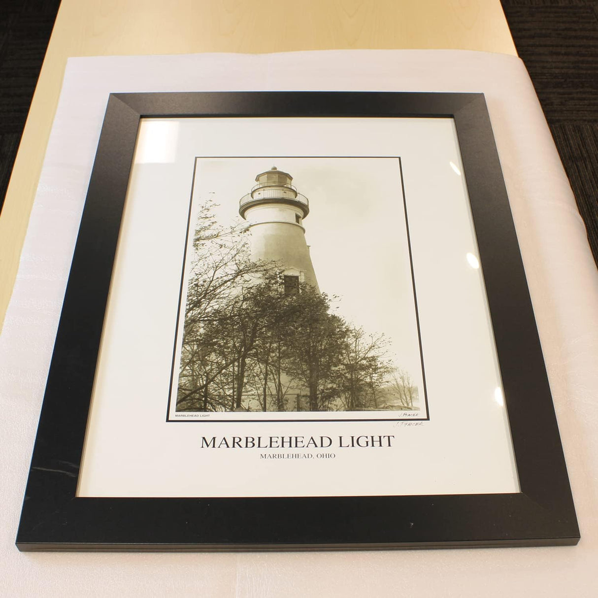 TV Cover / Frame Cover (Up to 60")