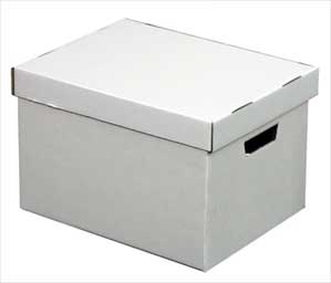 White File Storage Box - 15"x12"x10" Letter/Legal Size Storage (2-Piece)