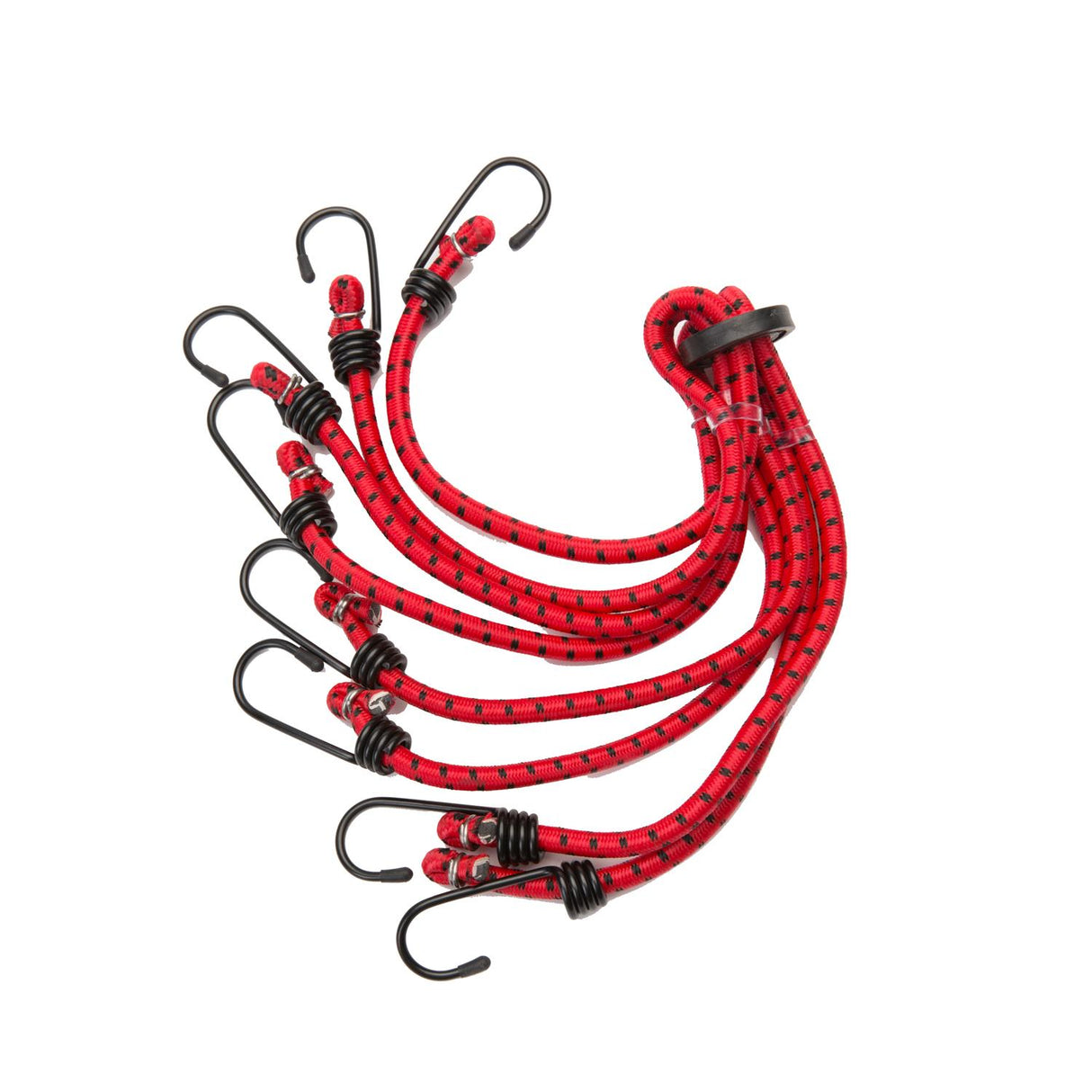 Eight-Way Spider Strap